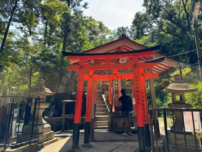 From Osaka: Kyoto Highlights One Day Private Tour - Final Thoughts