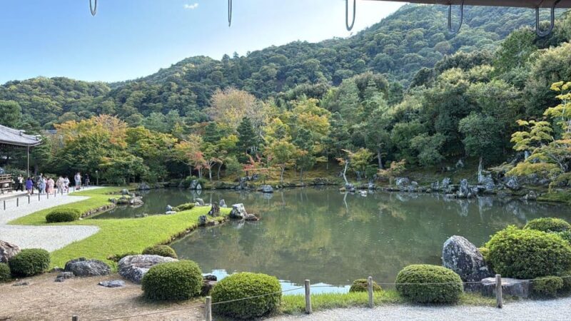 From Osaka: Kyoto Highlights One Day Private Tour - FAQ