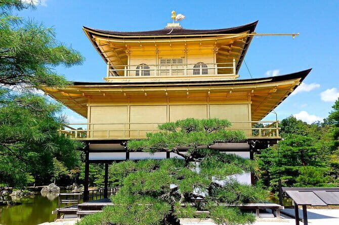 From Osaka-Kyoto: Kyoto and Nara 1Day Bus Tour - Key Points