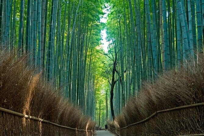 From Osaka/Kyoto: Kyoto & Nara Day Trip with Lunch - From Osaka/Kyoto: Kyoto & Nara Day Trip with Lunch – A Practical and Authentic Journey