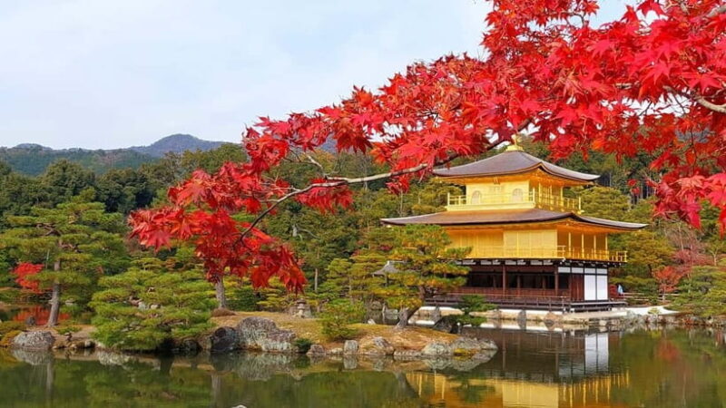 From Osaka/Kyoto: Kyoto UNESCO World Heritage Sites Day Tour - Who Will Love This Tour?