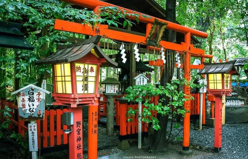 From Osaka: Kyoto, Nara, Fushimi Inari & Arashiyama Day Tour - From Osaka: Kyoto, Nara, Fushimi Inari & Arashiyama Day Tour