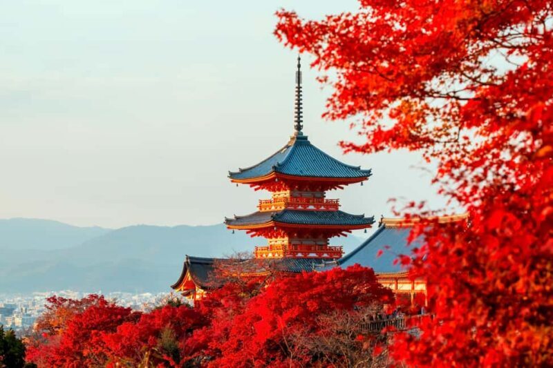 From Osaka: Kyoto & Nara Highlights Day Tour (7 attractions) - Frequently Asked Questions
