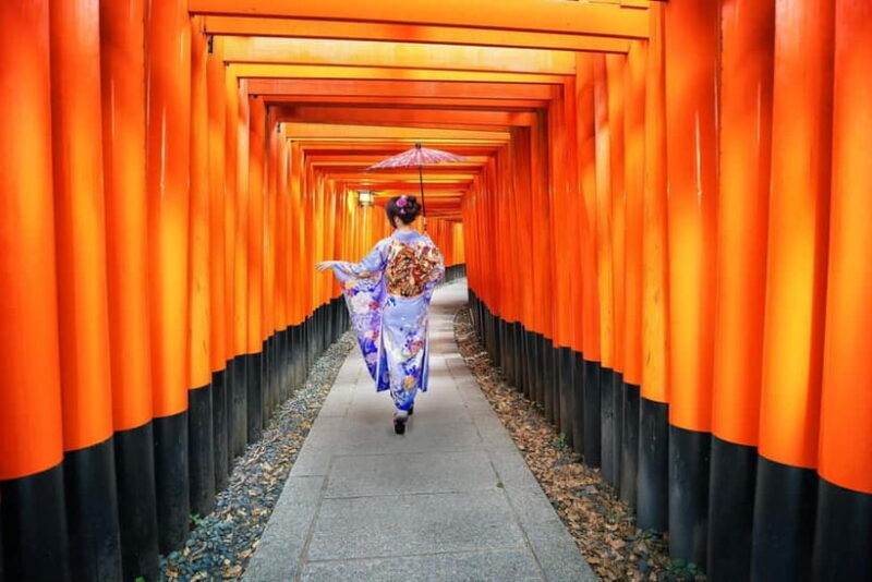 From Osaka: Kyoto & Nara Highlights Day Tour (7 attractions) - Overview and First Impressions