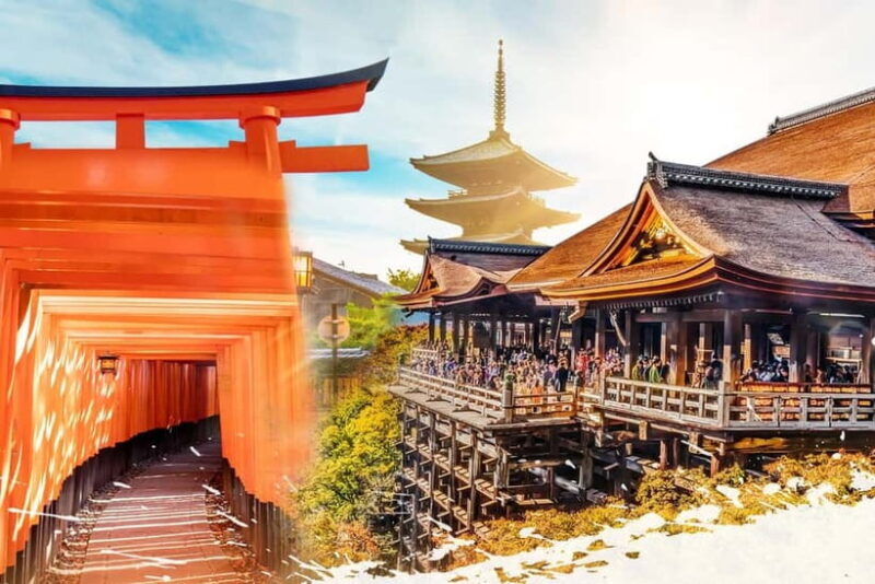 From Osaka: Kyoto & Nara Highlights Day Tour (7 attractions) - Key Points