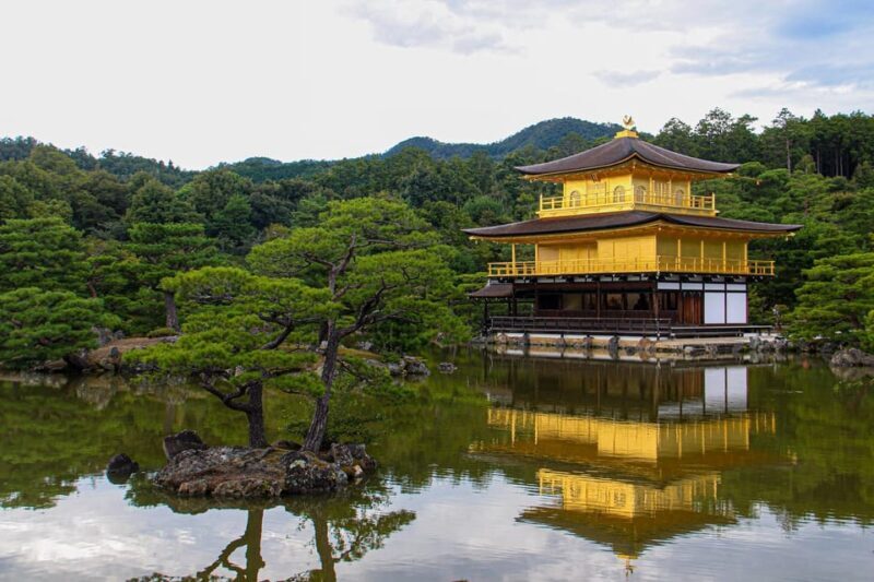 From Osaka/Kyoto: Private Kyoto and Nara Day Trip - Who Will Love This Tour?