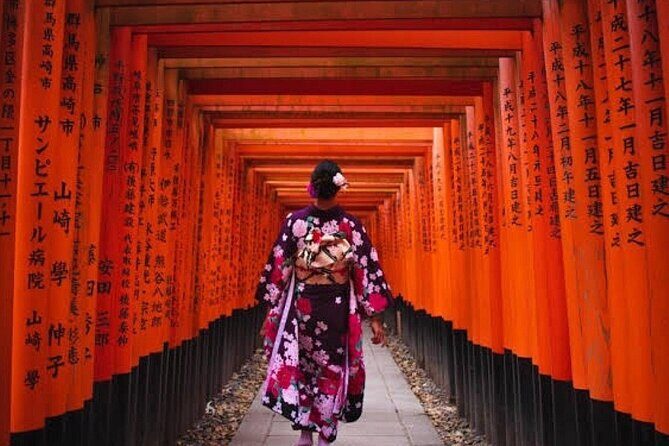 From Osaka/Kyoto : Private Kyoto & Nara Day Trip with Pickup - A Deep Dive into What You Can Expect