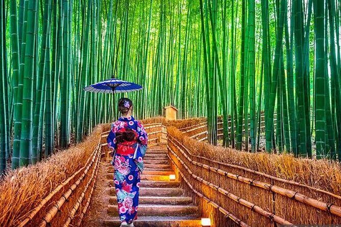 From Osaka/Kyoto : Private Kyoto & Nara Day Trip with Pickup - Who Will Love This Tour?