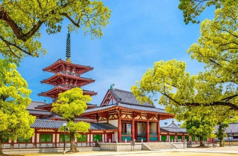 From Osaka/Kyoto : Private Osaka Day Trip w/Pickup & Dropoff - Who Will Love This Tour?