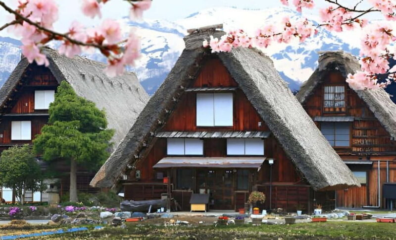 From Osaka/Kyoto: Shirakawa-go and Gokayama Day Tour - Key Points