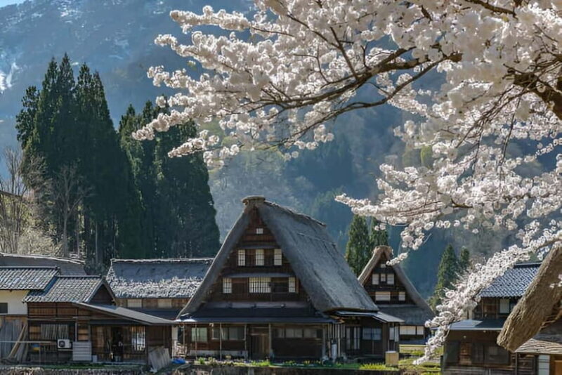 From Osaka/Kyoto: Shirakawa-go and Gokayama Day Tour - An In-Depth Look at the Tour Experience