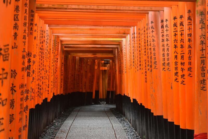 From Osaka/Kyoto:Kyoto&Nara Private day trip with pick up - Who Should Consider This Tour?