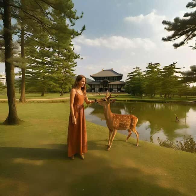 From Osaka/Kyoto:Kyoto&Nara Private day trip with pick up - Final Thoughts