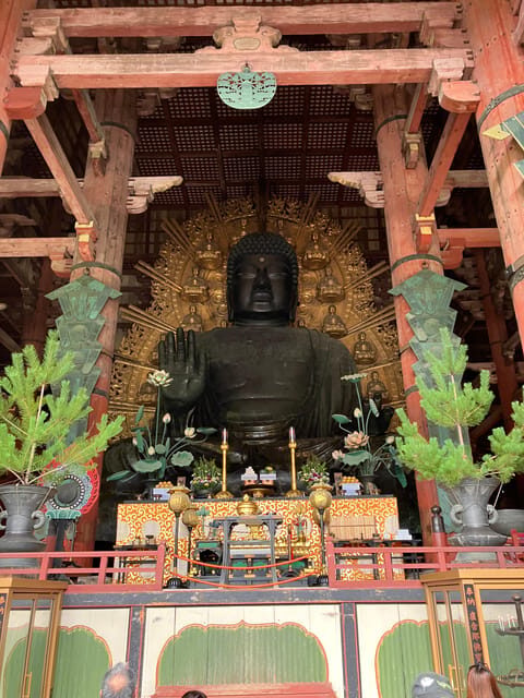 From Osaka: Nara Private Tour with Meet-Up at Your Hotel - A Detailed Look at the Tour Experience