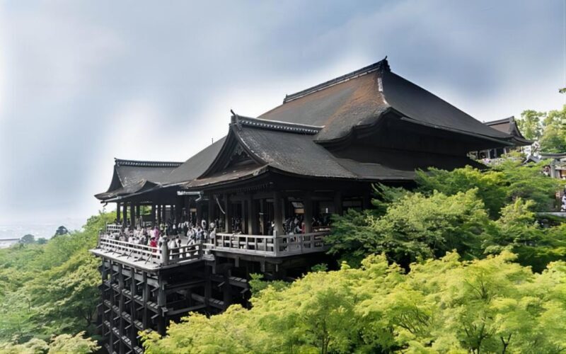 From Osaka: Private Customizable Day Tour to Kyoto - Final Thoughts: Is it Worth It?