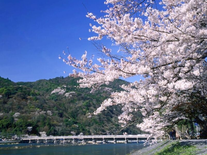 From Osaka: Sagano Train Ride and Kyoto Guided Day Tour - Who Will Love This Tour?