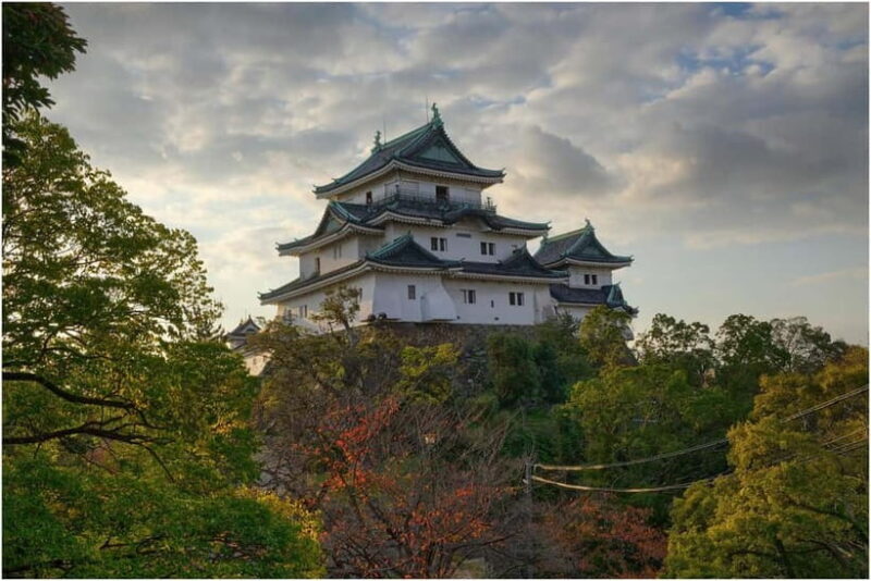 From Osaka: Shirahama Coastal Scenery Day Tour - Additional Practical Details