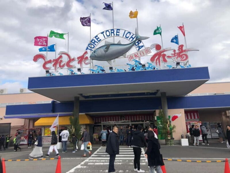 From Osaka: Shirahama Coastal Scenery Day Tour - Who Should Consider This Tour?