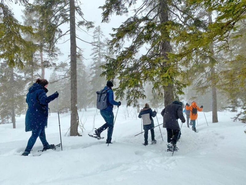 From Oslo: Oslomarka Forest Guided Snowshoeing Tour - Who Will Love This Tour?