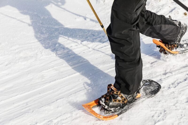 From Oslo: Oslomarka Forest Guided Snowshoeing Tour - Final Thoughts