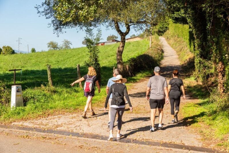 From Oviedo: Half-Day Camino de Santiago Hike - Frequently Asked Questions (FAQs)