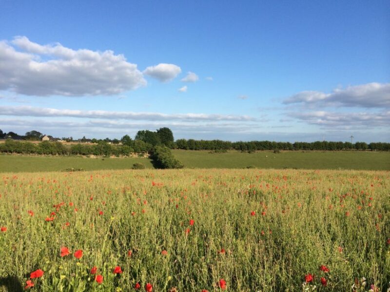 From Oxford: Cotswolds Towns and Villages Small Group Tour - Frequently Asked Questions