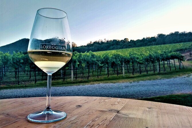 From Padua, Wine Tour in the Euganean Hills - What Makes This Tour Stand Out?