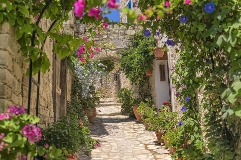 From Pafos/Limassol: Tastes of Cyprus Tour in Polish - Key Points
