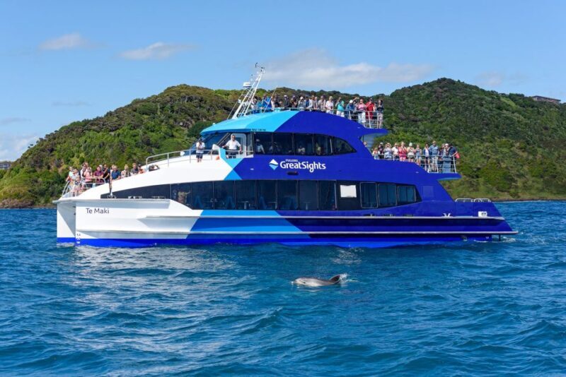 From Paihia: Day in the Bay - Full-Day Bay of Islands Cruise - Who Should Book This Tour?
