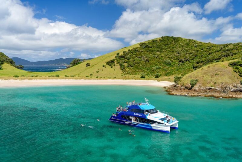 From Paihia: Day in the Bay - Full-Day Bay of Islands Cruise - FAQ