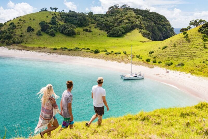 From Paihia: Island-Hopper Sailing Cruise with Picnic Lunch - From Paihia: Island-Hopper Sailing Cruise with Picnic Lunch – A Complete Guide
