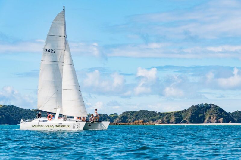 From Paihia: Island-Hopper Sailing Cruise with Picnic Lunch - Who Will Love This Tour?