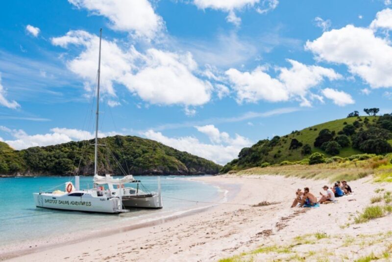 From Paihia: Island-Hopper Sailing Cruise with Picnic Lunch - Final Recommendations