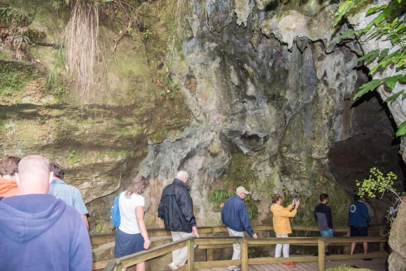 From Paihia: Kawiti Glowworm Caves Guided Tour - Exploring the Kawiti Glowworm Caves: An Authentic North Island Experience