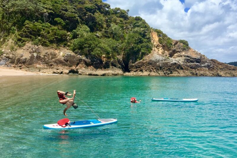 From Paihia: Scenic Cruise with Roberton Island Stopover - Why This Tour Is a Great Value