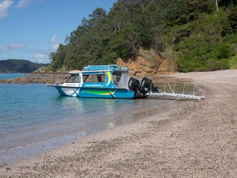 From Paihia: Scenic Cruise with Roberton Island Stopover - Frequently Asked Questions