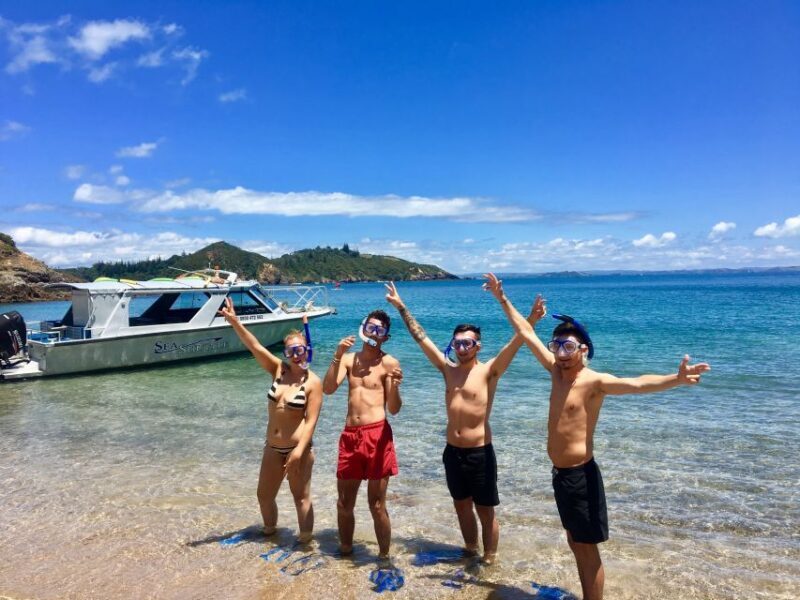 From Paihia: Scenic Cruise with Roberton Island Stopover - Final Thoughts
