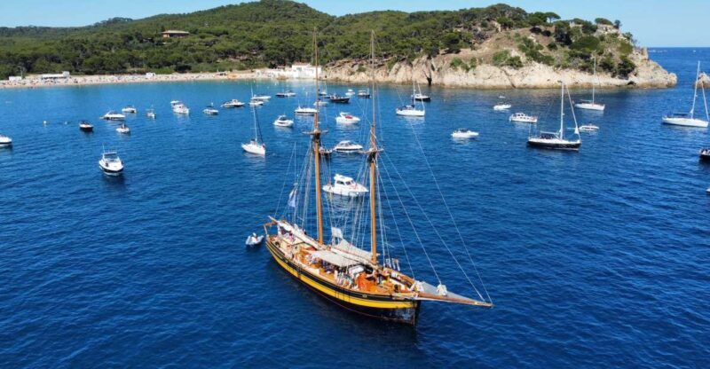 From Palamos: Scenic Boat Trip to Calella de Palafrugell - The Departure and Setting