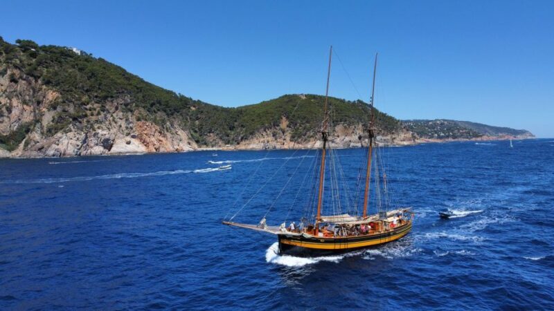 From Palamos: Scenic Boat Trip to Calella de Palafrugell - Who Would Love This Tour?