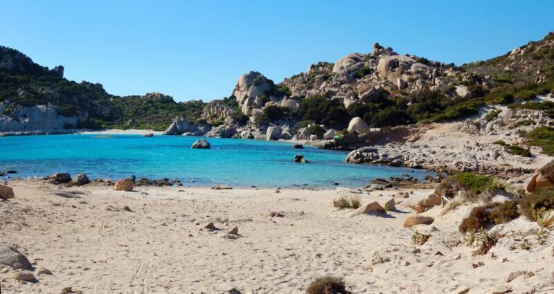 From Palau: La Maddalena Archipelago Boat Tour with Pasta - Who This Tour Is Best For