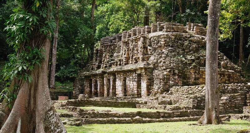 From Palenque: Bonampak & Yaxchilán - What Real Travelers Say