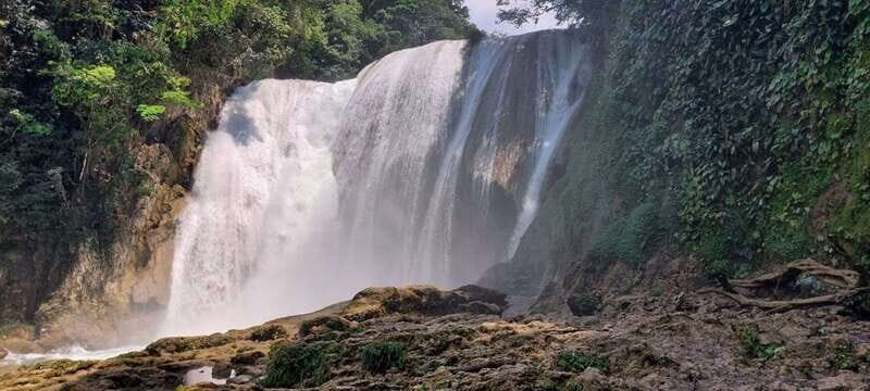From Palenque: El Salto Waterfall Private Tour - Who Is This Tour For?