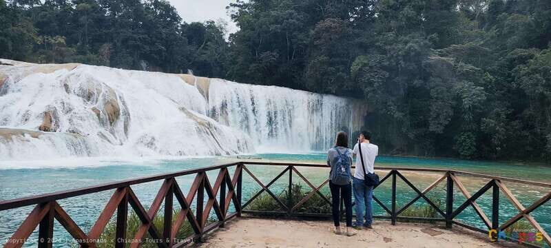 From Palenque: Palenque, Agua Azul Waterfalls and Misol-Ha - Exploring the Itinerary in Detail