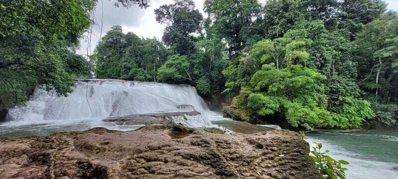 From Palenque: Palenque and Roberto Barrios Waterfalls Tour - Practical Details: What to Expect and Tips