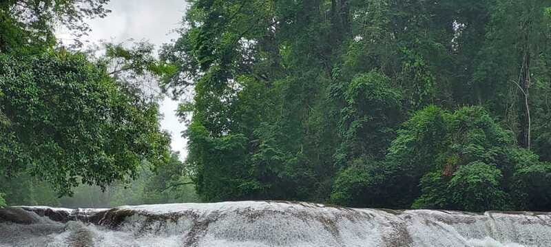 From Palenque: Palenque and Roberto Barrios Waterfalls Tour - Authenticity and Cultural Insights