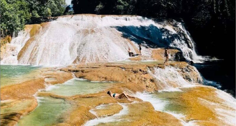 From Palenque: Roberto Barrios Waterfalls Excursion - Key Points