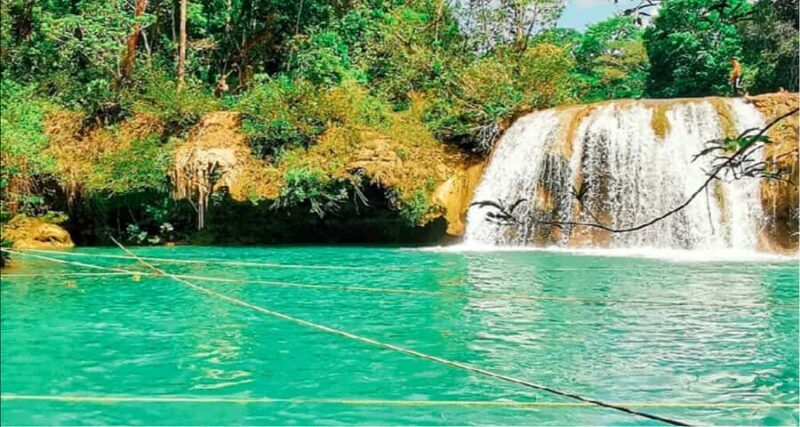 From Palenque: Roberto Barrios Waterfalls Excursion - Why Choose This Tour?