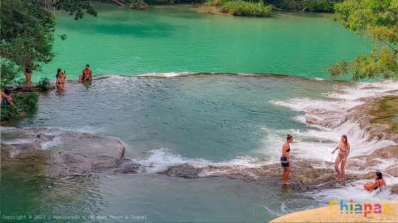 From Palenque: Tour of the Roberto Barrios Waterfalls - Key Points