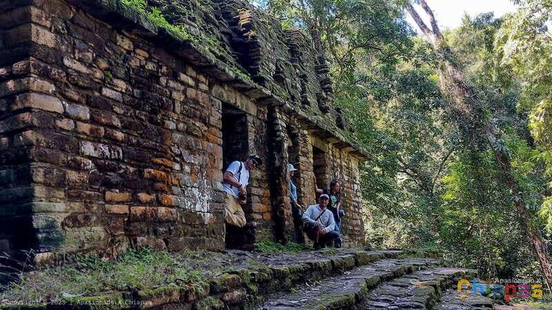 From Palenque: Yaxchilán and Bonampak Tour - From Palenque: Yaxchilán and Bonampak Tour – A Deep Dive into Mayan Marvels