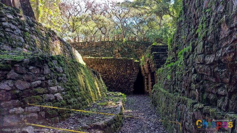 From Palenque: Yaxchilán and Bonampak Tour - What This Tour Means for You